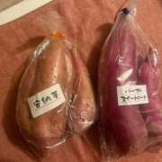 ヒメ日記 2025/03/27 14:31 投稿 あみ 花夫人