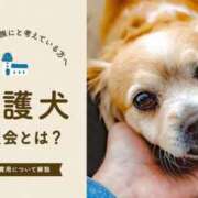 ヒメ日記 2024/12/23 18:46 投稿 山本れん 華椿