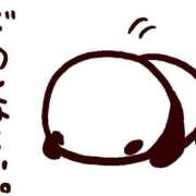 ヒメ日記 2024/12/24 12:16 投稿 山本れん 華椿