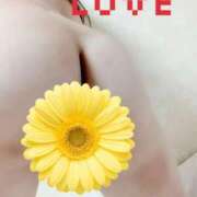 ヒメ日記 2025/09/17 08:02 投稿 このは 熟女の風俗最終章 新宿店