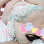 ヒメ日記 2025/11/24 23:12 投稿 このは 熟女の風俗最終章 新宿店