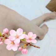 ヒメ日記 2026/04/09 07:30 投稿 このは 熟女の風俗最終章 新宿店