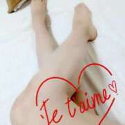 ヒメ日記 2025/10/25 09:26 投稿 このは 熟女の風俗最終章 池袋店