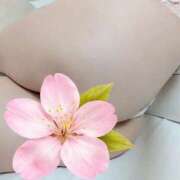 ヒメ日記 2026/04/18 05:32 投稿 このは 熟女の風俗最終章 池袋店