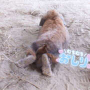 ヒメ日記 2025/07/15 18:40 投稿 すずか ビデオdeはんど 町田校