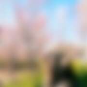 ヒメ日記 2026/03/09 07:37 投稿 すずか ビデオdeはんど 町田校