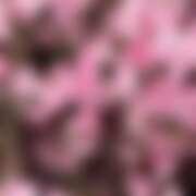 ヒメ日記 2026/03/28 17:59 投稿 すずか ビデオdeはんど 町田校