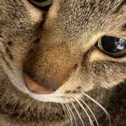 ヒメ日記 2025/03/07 02:40 投稿 松永仁美(まつながひとみ) 鶯谷ナンバーワン