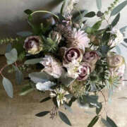 ヒメ日記 2025/01/08 00:41 投稿 ゆりこ TSUBAKI（水戸）