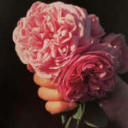 ヒメ日記 2025/01/08 01:02 投稿 ゆりこ TSUBAKI（水戸）