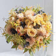 ヒメ日記 2025/01/08 19:36 投稿 ゆりこ TSUBAKI（水戸）