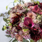 ヒメ日記 2025/01/12 19:15 投稿 ゆりこ TSUBAKI（水戸）