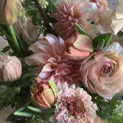 ヒメ日記 2025/02/08 12:29 投稿 ゆりこ TSUBAKI（水戸）