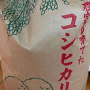 ヒメ日記 2025/04/01 12:23 投稿 ゆりこ TSUBAKI（水戸）