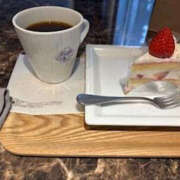 ヒメ日記 2025/05/14 16:31 投稿 ゆりこ TSUBAKI（水戸）