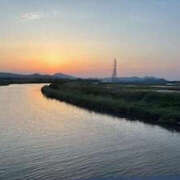 ヒメ日記 2025/05/16 19:03 投稿 ゆりこ TSUBAKI（水戸）