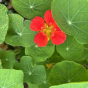 ヒメ日記 2025/05/18 10:16 投稿 ゆりこ TSUBAKI（水戸）