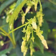 ヒメ日記 2025/05/21 12:11 投稿 ゆりこ TSUBAKI（水戸）