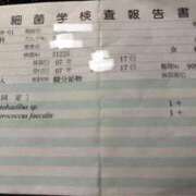 ヒメ日記 2025/05/29 11:12 投稿 ゆりこ TSUBAKI（水戸）