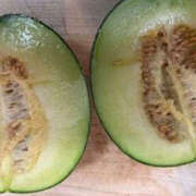 ヒメ日記 2025/06/18 09:32 投稿 ゆりこ TSUBAKI（水戸）