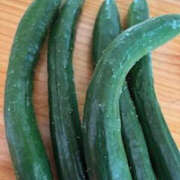 ヒメ日記 2025/07/07 00:49 投稿 ゆりこ TSUBAKI（水戸）