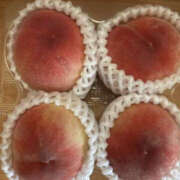 ヒメ日記 2025/07/07 01:15 投稿 ゆりこ TSUBAKI（水戸）