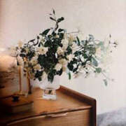 ヒメ日記 2025/07/07 01:38 投稿 ゆりこ TSUBAKI（水戸）