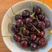 ヒメ日記 2025/07/17 22:53 投稿 ゆりこ TSUBAKI（水戸）