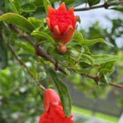 ヒメ日記 2025/07/18 13:44 投稿 ゆりこ TSUBAKI（水戸）