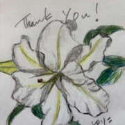 ヒメ日記 2025/07/29 08:00 投稿 ゆりこ TSUBAKI（水戸）