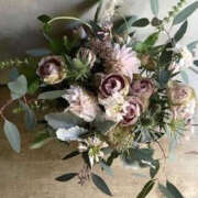 ヒメ日記 2025/07/29 15:57 投稿 ゆりこ TSUBAKI（水戸）