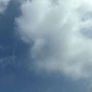 ヒメ日記 2025/08/19 08:22 投稿 ゆりこ TSUBAKI（水戸）