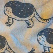 ヒメ日記 2025/08/26 08:12 投稿 ゆりこ TSUBAKI（水戸）