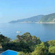 ヒメ日記 2025/08/26 08:34 投稿 ゆりこ TSUBAKI（水戸）