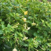 ヒメ日記 2025/10/23 14:46 投稿 ゆりこ TSUBAKI（水戸）