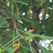 ヒメ日記 2025/10/29 08:54 投稿 ゆりこ TSUBAKI（水戸）