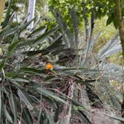 ヒメ日記 2025/11/15 09:34 投稿 ゆりこ TSUBAKI（水戸）