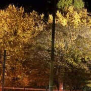 ヒメ日記 2025/11/23 14:48 投稿 ゆりこ TSUBAKI（水戸）