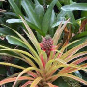 ヒメ日記 2025/11/23 14:54 投稿 ゆりこ TSUBAKI（水戸）