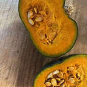 ヒメ日記 2025/12/05 09:12 投稿 ゆりこ TSUBAKI（水戸）