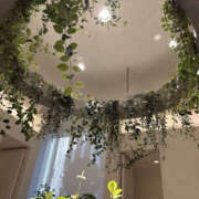 ヒメ日記 2025/12/10 08:47 投稿 ゆりこ TSUBAKI（水戸）