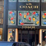 ヒメ日記 2025/12/22 19:03 投稿 ゆりこ TSUBAKI（水戸）