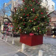 ヒメ日記 2025/12/24 12:08 投稿 ゆりこ TSUBAKI（水戸）