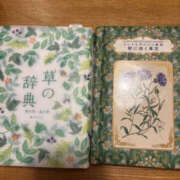 ヒメ日記 2026/01/12 21:33 投稿 ゆりこ TSUBAKI（水戸）