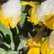 ヒメ日記 2026/02/10 10:23 投稿 ゆりこ TSUBAKI（水戸）