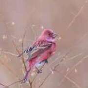 ヒメ日記 2026/02/14 09:49 投稿 ゆりこ TSUBAKI（水戸）