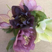 ヒメ日記 2026/03/19 09:19 投稿 ゆりこ TSUBAKI（水戸）