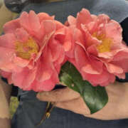 ヒメ日記 2026/04/19 21:52 投稿 ゆりこ TSUBAKI（水戸）