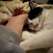 ヒメ日記 2025/01/14 02:53 投稿 さくや スーパークリスタル