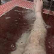 ヒメ日記 2025/02/12 01:43 投稿 さくや スーパークリスタル